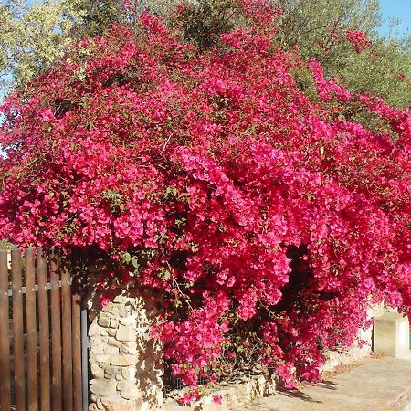 Casa A 300Mt.Dal Mare Calasinzias, 6 Letti, Ac, Pets Welcome, Wi-Fi Free Cala Sinzias 外观 照片