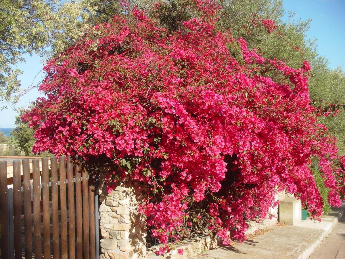 Casa A 300Mt.Dal Mare Calasinzias, 6 Letti, Ac, Pets Welcome, Wi-Fi Free Cala Sinzias 外观 照片