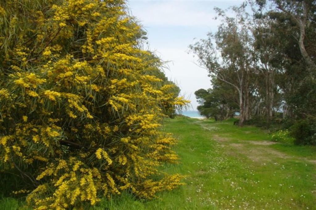 Casa A 300Mt.Dal Mare Calasinzias, 6 Letti, Ac, Pets Welcome, Wi-Fi Free Cala Sinzias 外观 照片
